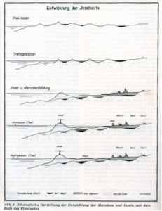 Entwicklung der Inselküste